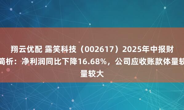 翔云优配 露笑科技(002617)2025年中报财务简析:净利润同比下降16.68%,公司应收账款体量较大