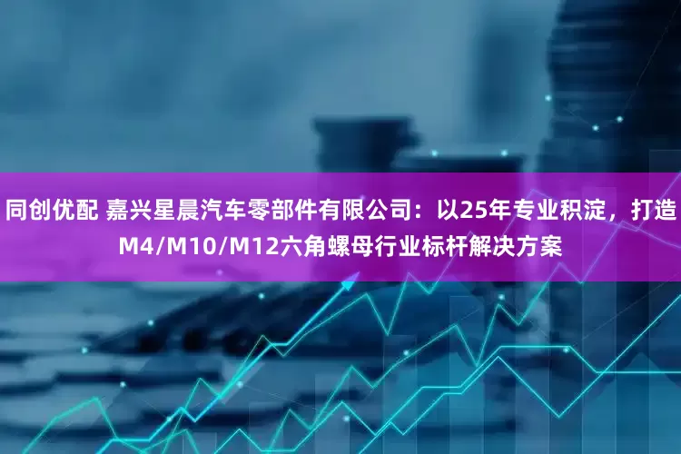 同创优配 嘉兴星晨汽车零部件有限公司:以25年专业积淀,打造M4/M10/M12六角螺母行业标杆解决方案